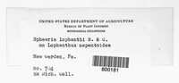 Image Associated With the Occurence